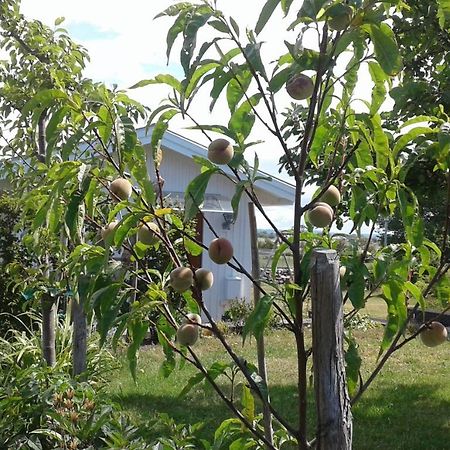 Stuga I Gamla-Koepstad Traslovslage Exterior foto
