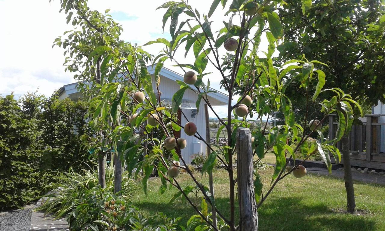 Stuga I Gamla-Koepstad Traslovslage Exterior foto